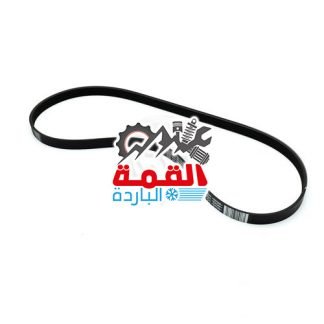 Audi Volkswagen V Belt 079903137AB