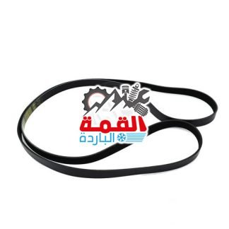 Land Rover V Belt LR064185